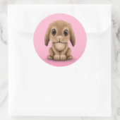 Cute Brown Baby Bunny Rabbit on Pink Classic Round Sticker | Zazzle