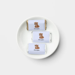 Cute brown bear blue hershey's miniatures