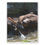 Cute Brown Bear Temporary Tattoos