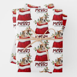 Cute Brown Bulldog Puppy in Holiday Gift Bag Wrapping Paper Sheets