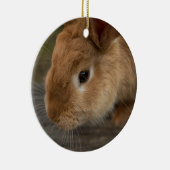 Cute brown bunny ceramic ornament | Zazzle