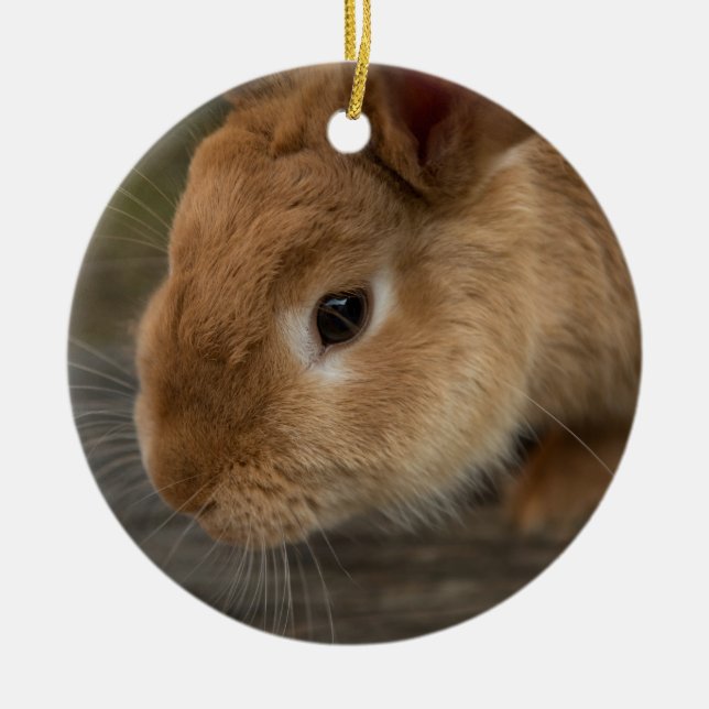 Cute brown bunny ceramic ornament (Front)