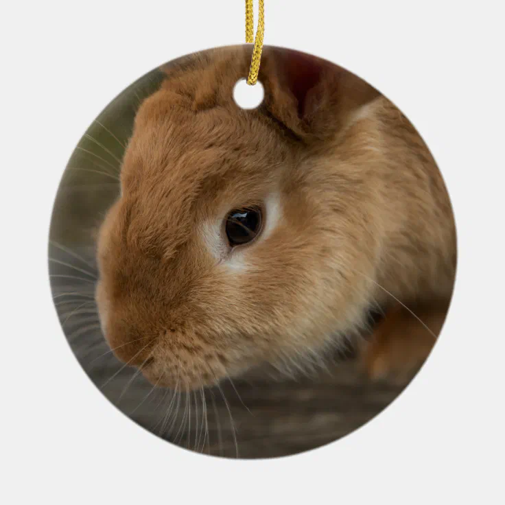 Cute brown bunny ceramic ornament | Zazzle