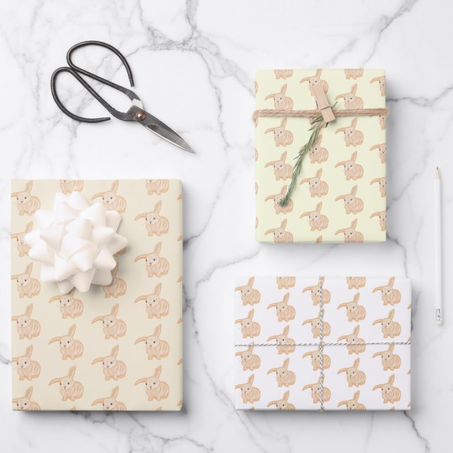 Cute Brown Bunny Rabbit - transparent patterns.   Wrapping Paper Sheets (Front)