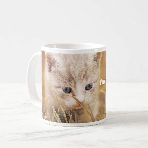 Cute Brown Cat With Text Message Coffee Mug