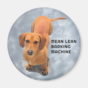 Cute Brown Dachshund Barking Machine Magnet