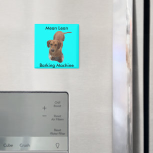 Cute Brown Dachshund Barking Machine Magnet