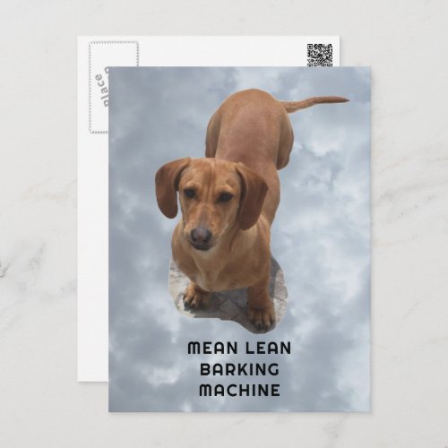 Cute Brown Dachshund Barking Machine Postcard