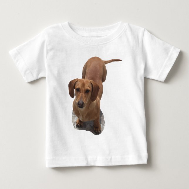 Cute Brown Dachshund Dog Baby T-Shirt (Front)