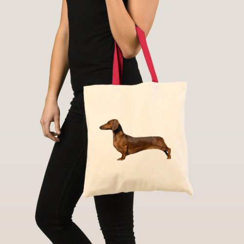 Cute Brown Dachshund Dog  Tote Bag