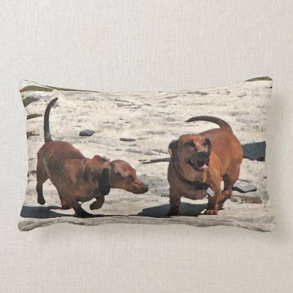 Cute Brown Dachshund Dogs Lumbar Pillow