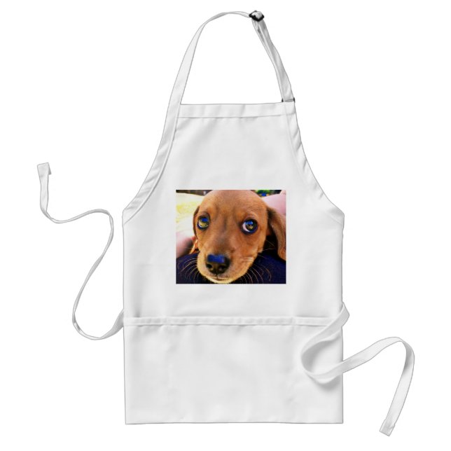 Cute Brown Dachshund Puppy Dog Adult Apron (Front)