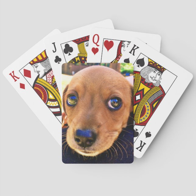Cute Brown Dachshund Puppy Dog Poker Cards (Back)