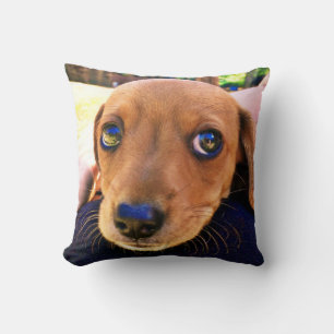 Cute Brown Dachshund Puppy Dog Throw Pillow