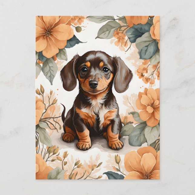 Cute Brown Dachshund Puppy Peach Floral  Postcard (Front)