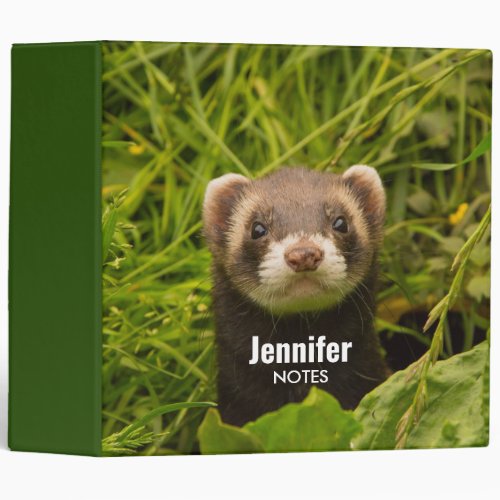 Cute Brown Ferret in the Grass 3 Ring Binder