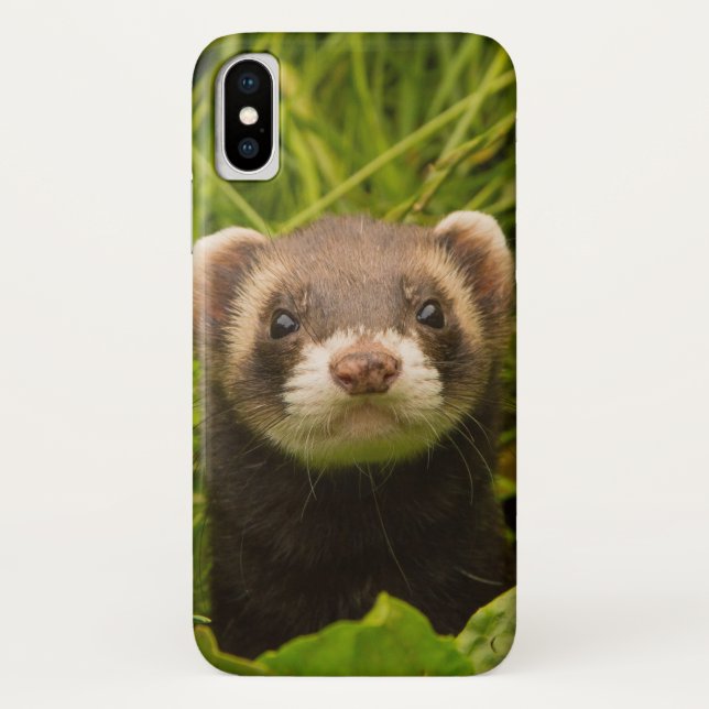 Cute Brown Ferret in the Grass Case-Mate iPhone Case (Back)