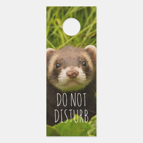 Cute Brown Ferret in the Grass Do Not Disturb Door Hanger