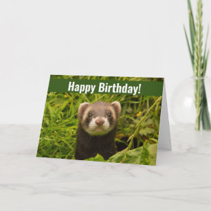 Cute Brown Ferret in the Grass Happy Birthday Card