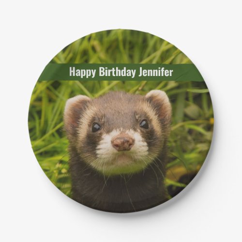 Cute Brown Ferret in the Grass Happy Birthday Paper Plates