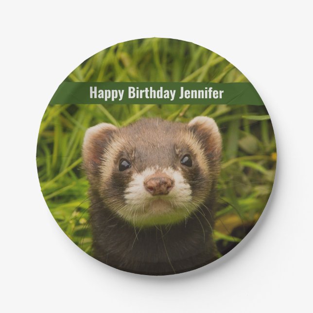 Cute Brown Ferret in the Grass Happy Birthday Paper Plates (Front)