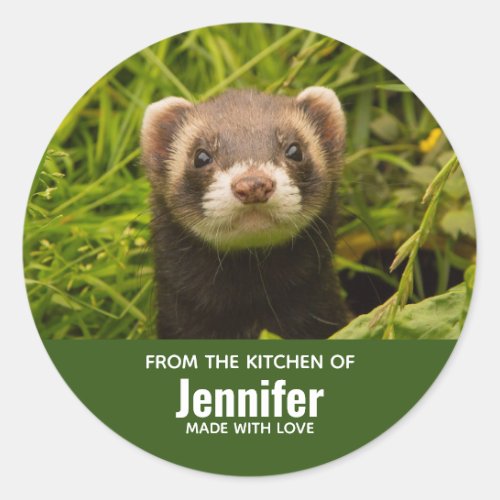 Cute Brown Ferret in the Grass Kitchen Classic Round Sticker