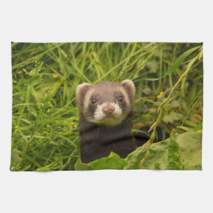 Cute Brown Ferret in the Grass Kitchen Towel