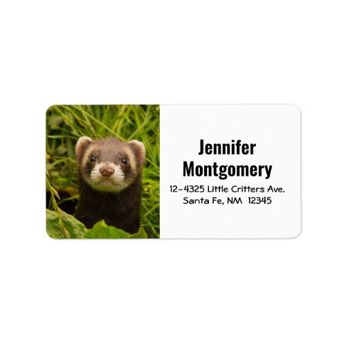 Cute Brown Ferret in the Grass Label