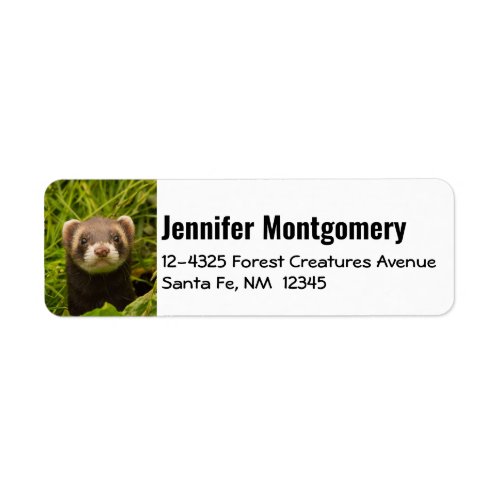 Cute Brown Ferret in the Grass Label