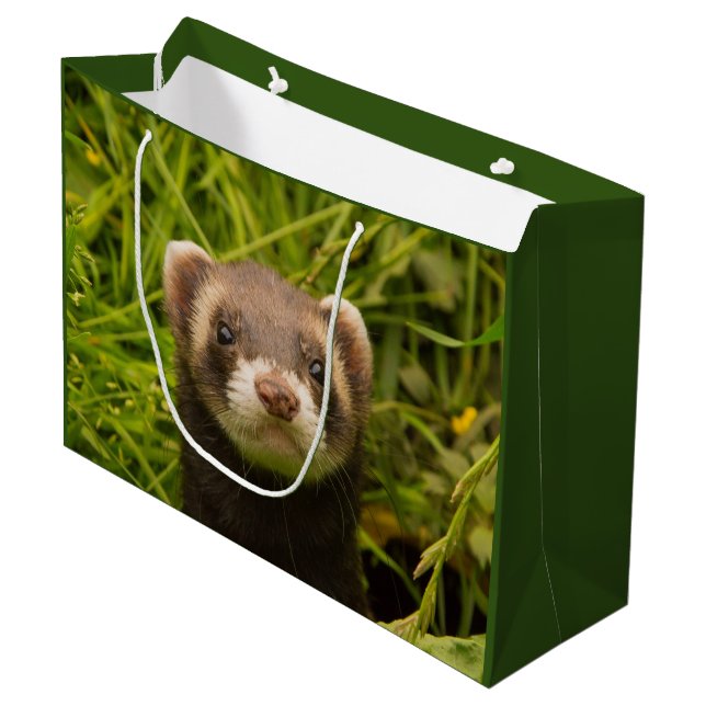 Cute Brown Ferret in the Grass Large Gift Bag (Front Angled)