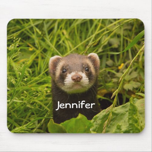 Cute Brown Ferret in the Grass Mouse Pad