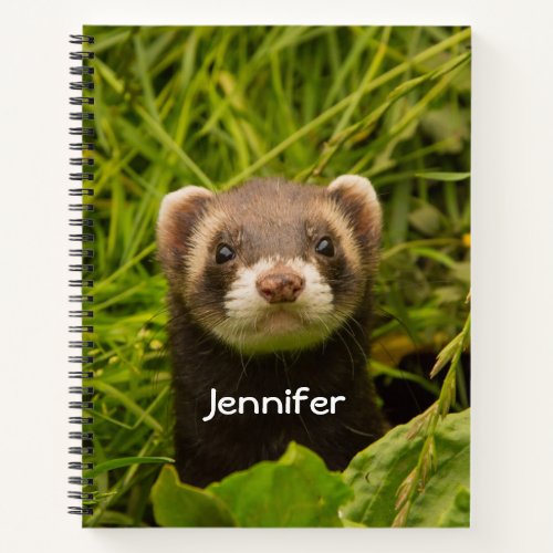 Cute Brown Ferret in the Grass Notebook
