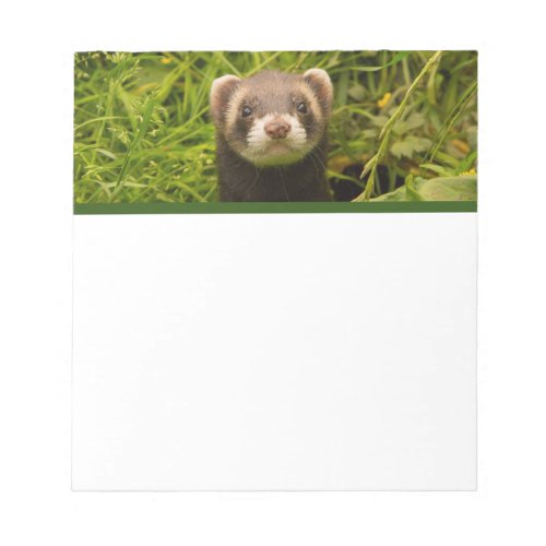 Cute Brown Ferret in the Grass Notepad