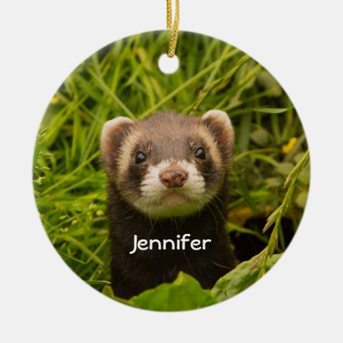 Cute Brown Ferret in the Grass Photo Ceramic Ornament