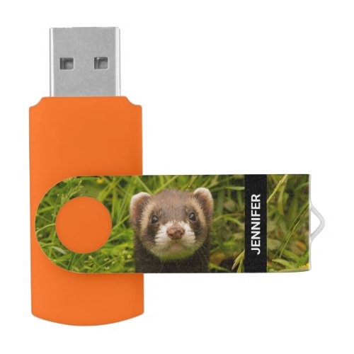 Cute Brown Ferret in the Grass Photo Flash Drive