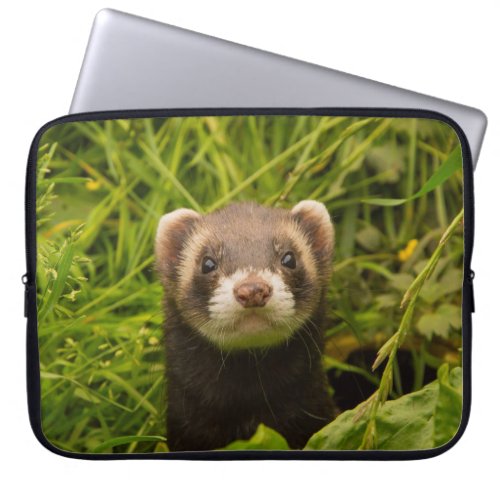 Cute Brown Ferret in the Grass Photo Laptop Sleeve