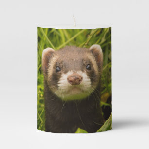 Cute Brown Ferret in the Grass Photo Pillar Candle