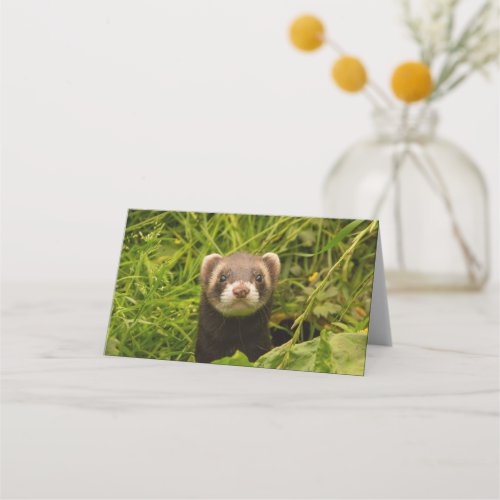 Cute Brown Ferret in the Grass Photo Place Card