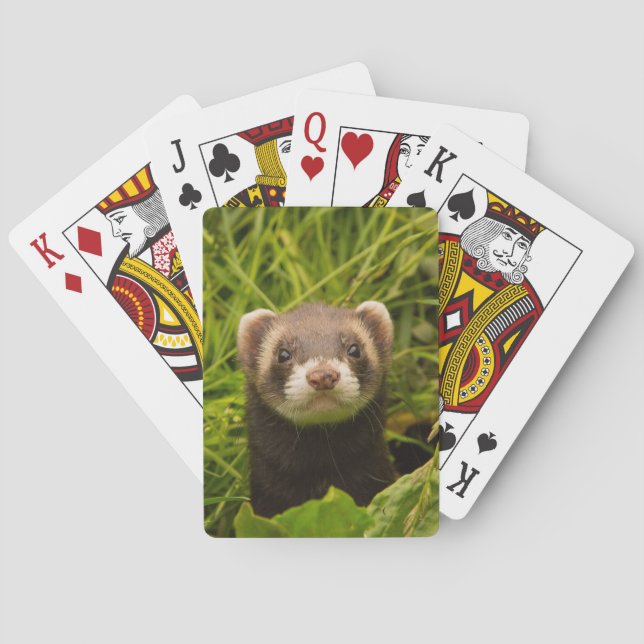 Cute Brown Ferret in the Grass Photo Poker Cards (Back)