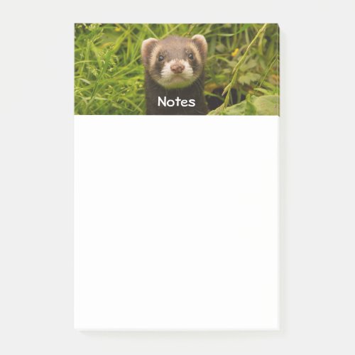 Cute Brown Ferret in the Grass Post_it Notes