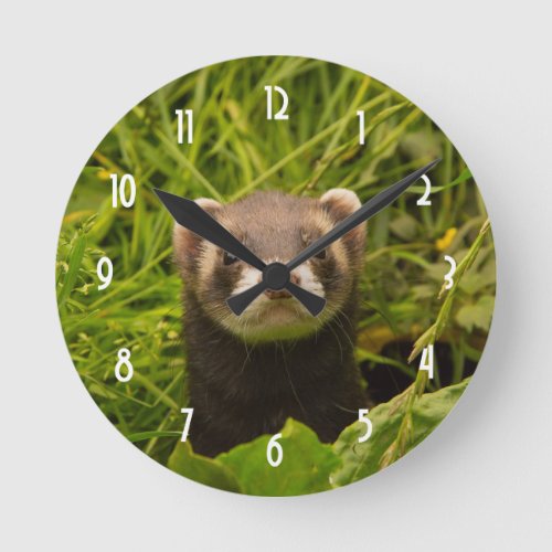 Cute Brown Ferret in the Grass Round Clock