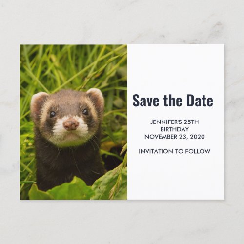 Cute Brown Ferret in the Grass Save the Date Invitation Postcard