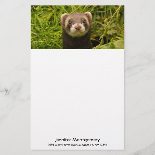 Cute Brown Ferret in the Grass Stationery