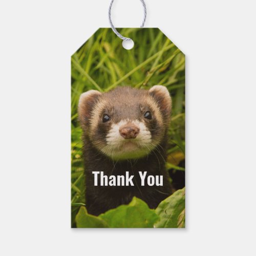 Cute Brown Ferret in the Grass Thank You Gift Tags