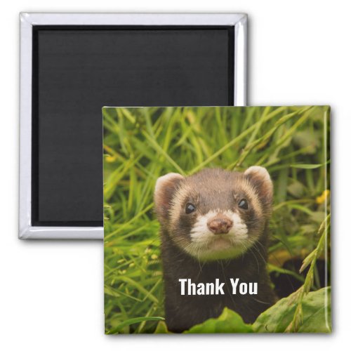 Cute Brown Ferret in the Grass Thank You Magnet