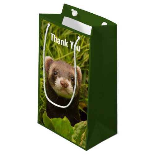 Cute Brown Ferret in the Grass Thank You Small Gift Bag