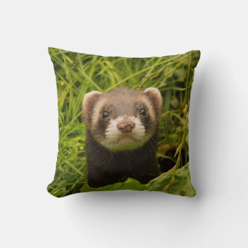 Cute Brown Ferret in the Grass Throw Pillow