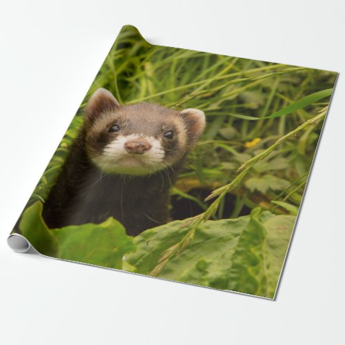Cute Brown Ferret in the Grass Wrapping Paper