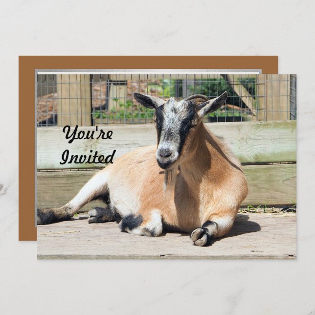 Cute Brown Goat Sleeping Photo Birthday Invitation (Front/Back)