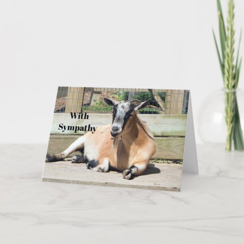Cute Brown Goat Sleeping Photo Sympathy Card